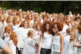 Giật mình 11 sự thật về đất nước Scotland xinh đẹp