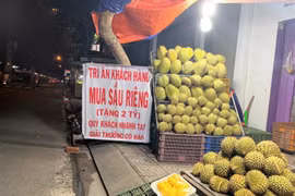 Giá sầu riêng nhảy múa từng ngày, cửa hàng khuyến mãi lạ
