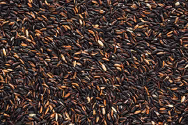 Khác biệt gạo trắng và gạo lứt