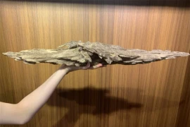 'Thanh bảo kiếm' trầm hương quý hiếm, tiền tỷ chưa chắc mua được