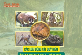 [INFOGRAPHIC] Các loài động vật quý hiếm ở VQG Phong Nha - Kẻ Bàng