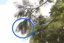 Tiết lộ số vàng bị cựu cán bộ trại giam nổ súng AK cướp tại Huế