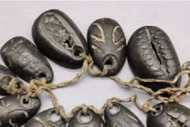 Vì sao vỏ sò là tiền tệ một thời của Trung Hoa cổ đại?