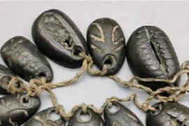 Vì sao vỏ sò là tiền tệ một thời của Trung Hoa cổ đại?