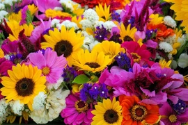 Sinh 6 ngày Âm này quý nhân phù trợ trên đường đi, không khó khăn gì