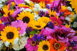 Sinh 6 ngày Âm này quý nhân phù trợ trên đường đi, không khó khăn gì