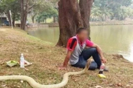 Chàng trai kết hôn với rắn hổ mang sau khi bạn gái qua đời