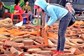 Khu chợ nào ở Việt Nam bán gỗ quý “tiền tỷ” theo cân?