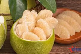 Bán đặc sản tiến vua, ngồi đếm cây thu tiền triệu mỗi ngày