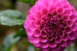 6 ngày Âm lịch giúp bạn thịnh vượng cuối năm 2024