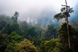 Quảng Bình và Khăm Muồn (Lào) hợp tác phát triển du lịch