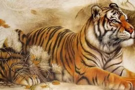 Nhâm Dần 2022: 4 con giáp phạm Thái Tuế, cả năm nợ ngập đầu