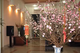 Bí quyết trang trí phòng làm việc ngày Tết để cả năm thịnh vượng