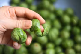 Những người cần cẩn trọng khi ăn sấu