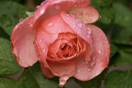 4 ngày sinh Âm lịch đại phú quý, ai sở hữu giàu khó đỡ