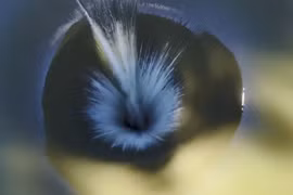 Kinh ngạc 'Cổng địa ngục' hút hơn 1.000m3 nước mỗi giây