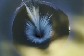 Kinh ngạc 'Cổng địa ngục' hút hơn 1.000m3 nước mỗi giây