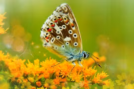 Ai sinh ngày Âm lịch này cả đời không nói suông, về già sung túc 