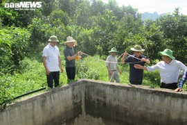 Vừa uống cà phê vừa tưới cây, cho tôm cá ăn bằng điện thoại
