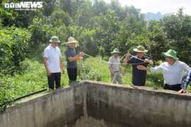 Vừa uống cà phê vừa tưới cây, cho tôm cá ăn bằng điện thoại