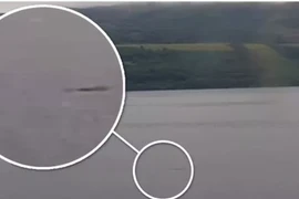 Phát hiện sinh vật to bằng chiếc Ford Transit nghi “quái vật hồ Loch Ness"