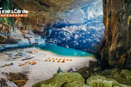 [INFOGRAPHIC] Tận mục ốc nón quý hiếm phát hiện ở Sơn Đoòng 