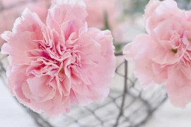 Ai sinh vào 5 ngày Âm này, lộc tài vượng tiến vào tháng 10