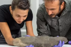 Phát hiện báu vật 200.000 năm của 'người khổng lồ khác loài' 