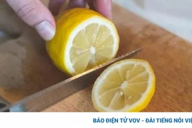 Lợi ích tuyệt vời cho sức khỏe từ loại quả dân dã, quen thuộc