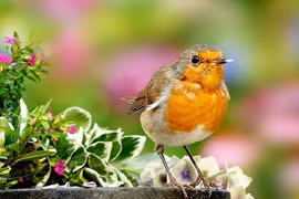 Ai sinh tháng Âm lịch này giỏi kiếm tiền, tương lai viên mãn