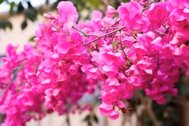 Ngày sinh Âm lịch kết thúc bằng 3 số này, hậu vận vượng lộc