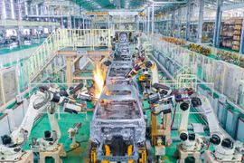 Lệ phí trước bạ ô tô lắp ráp trong nước tăng trở lại