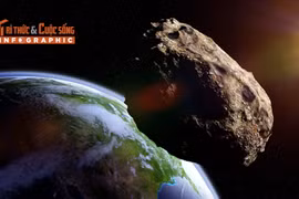 [INFOGRAPHIC] Tiểu hành tinh có nguy cơ va vào Mặt trăng năm 2032