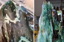 Nhặt được gỗ hóa ngọc 200 triệu năm, thanh niên lập tức đổi đời