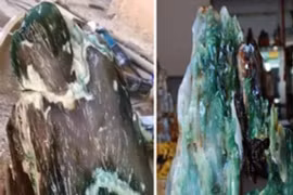 Nhặt được gỗ hóa ngọc 200 triệu năm, thanh niên lập tức đổi đời