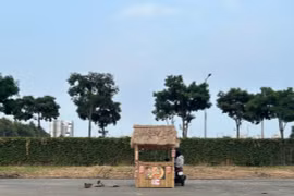 Cả hội hoa xuân ở TP.HCM chỉ còn 1 gian hàng