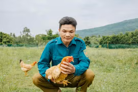 Loại gà đặc biệt, nặng chỉ hơn 1kg nhưng có giá 600.000 đồng/con