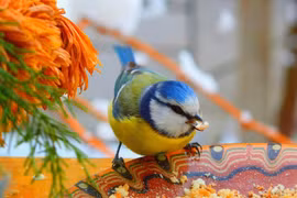 Ai sinh tháng Âm này khởi đầu thuận lợi trong tháng 5, cực phát đạt