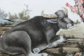 Trong ba tháng tới, hưởng lộc quý nhân, ba con giáp sẽ kiếm bộn tiền