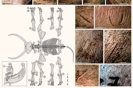 Phát hiện mới quái thú khổng lồ và loài người sống song song chúng ta 