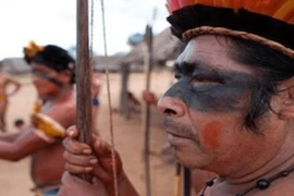 Bộ tộc kỳ lạ: Người dân đều bị câm, ăn muỗi để sinh tồn 