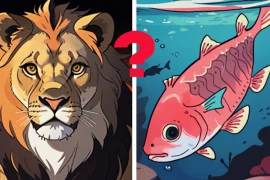 Nhìn bức tranh này, sự lựa chọn sẽ bộc lộ rõ tính cách trong bạn