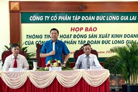 Đức Long Gia Lai kiện ngược lại Lilama 45.3