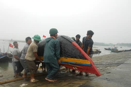 Thanh Hóa căng mình chống siêu bão Haiyan