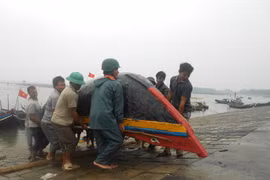 Thanh Hóa căng mình chống siêu bão Haiyan