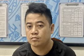 Làm giả 40 sổ hồng, giám đốc BĐS Đại Lộc Phát bị khởi tố