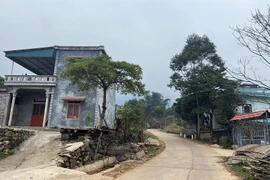 Quảng Ninh: Xây dựng Nam Kỳ trúng 2 gói thầu tại Bình Liêu