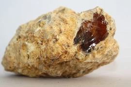 Nhặt được cục đá lạ, cả gia đình đổi đời trong nháy mắt 