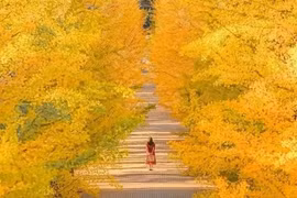 Ngày sinh Âm lịch cát tường, càng già càng nhiều phước lành