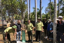 Trăn gấm khổng lồ xuất hiện ở Đắk Lắk, loài trong Sách đỏ Việt